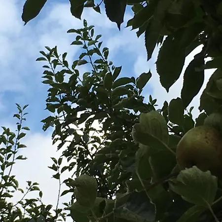 Schlommefurth Bed and breakfast St. Vith